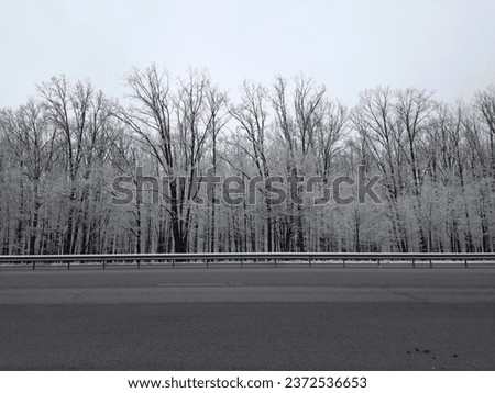 Winter landscape. Trees covered with frost