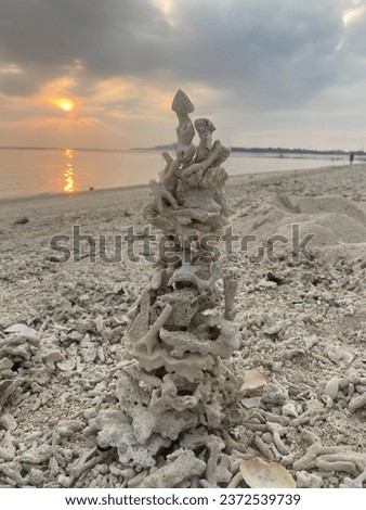 Stone art coral in the beach