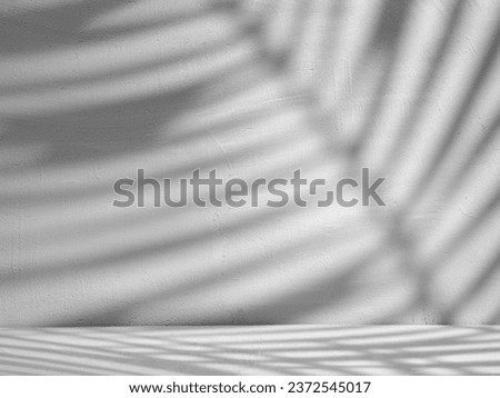 Gray Concrete Background with Branch Shadows