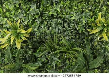 Green artificial plants as background, top view
