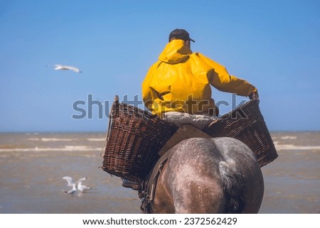Belgium, West Flanders, Koksijde, Oostduinkerke;, prawn fishing on horseback Intangible Cultural Heritage of Humanity by Unesco Royalty-Free Stock Photo #2372562429