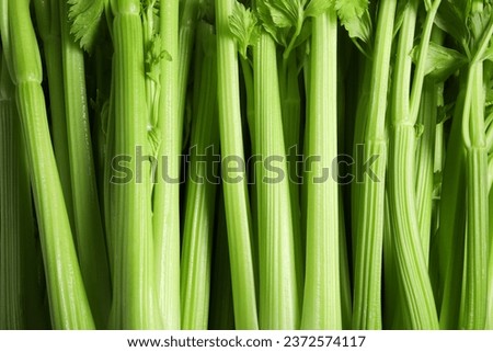 Many fresh green celery bunches as background, top view Royalty-Free Stock Photo #2372574117