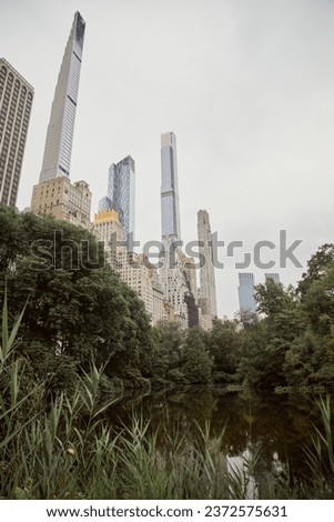 scenic view of trees and lake against modern skyscrapers in new york city, autumnal metropolis scene
