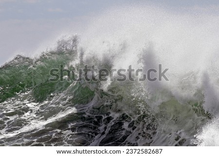 Detailed big stormy breaking wave
