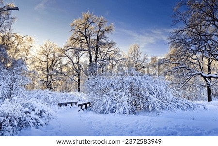 Pictures of the winter season in nature and the ground covered with snow