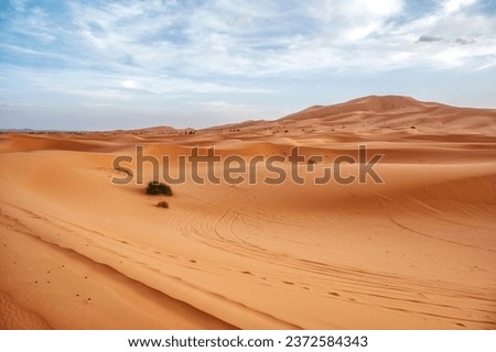 Sand dunes in the desert. Arid landscape of the Sahara desert, Morocco