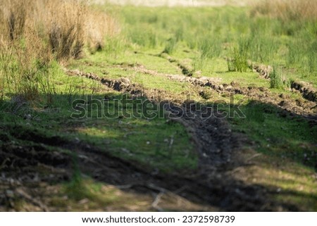 Gravel dirt road with mud and water in potholes in a park in australia