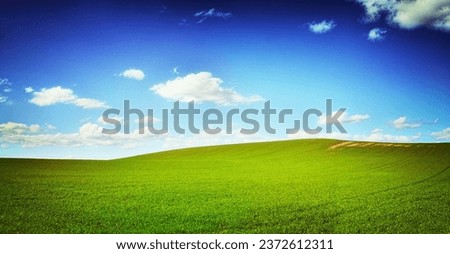 Where the grass is always greener...A field of green grass against a perfect bue sky - copyspace. A landscape photo of a green field and blue sky.