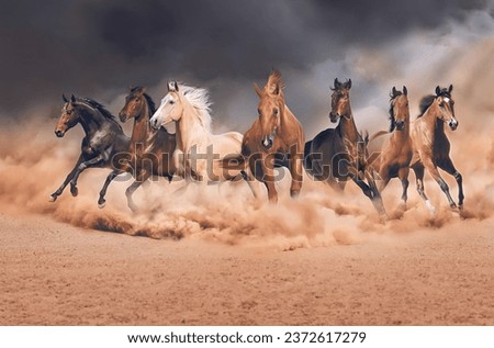 Lucky Seven Horses Running out of Desert Sand Storm, Beautiful Sunrise Sky Background, Luxury Poster and Wallpaper Royalty-Free Stock Photo #2372617279