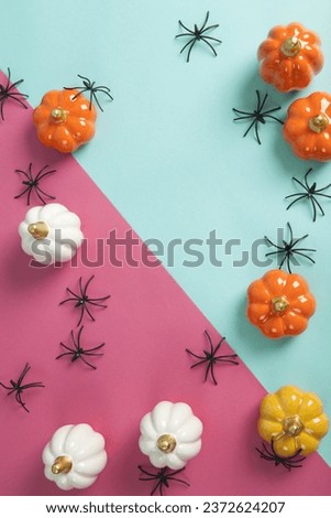 Small ceramic pumpkins in different colors among an invasion of spiders on a two-tone turquoise and fuschia pink background. Minimalist, trendy still life photography in full color.