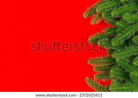 Top view of colorful background made of green fir tree branches. New year holiday concept with copy space.