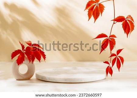 Marble round podium with vase and red autumn leaves, sunlight beautiful shadows. Showcase for home decoration, design, product presentation, aesthetic style