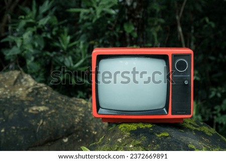 Old retro television is on stone in the forest, outdoors.