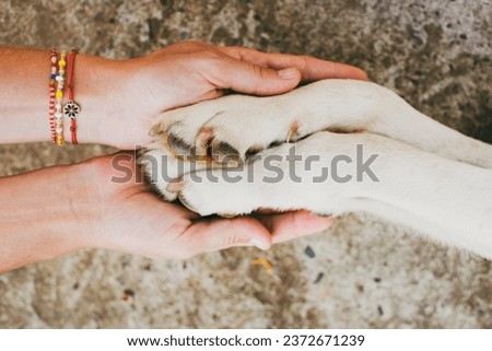 Dog paws and human hands close up, top view. Conceptual image of friendship, trust, love, help between the person and a dog	