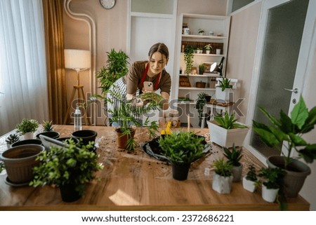 One woman young generation z adult caucasian female take care of her plants at home photographing flower pot with her smartphone mobile phone send photos to social media or as message real person