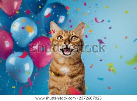Funny portrait of a happy smiling bengal cat on a festive background with balloons and confetti. Festive background with a cat for birthday or new year.