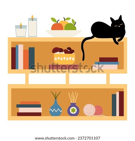 Shelving unit with books, decor and cat on white background