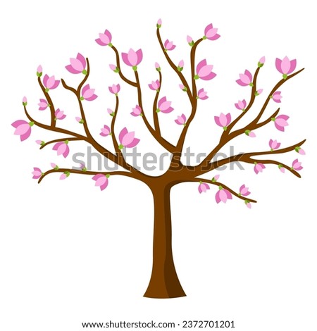 Blooming tree on white background