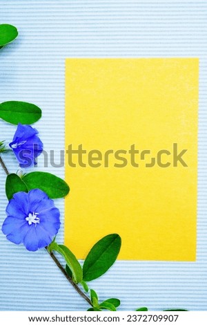 Mock-up of a simple yellow comment frame with beautiful blue shaggy evolvulus flowers and leaves on a fabric light blue background.