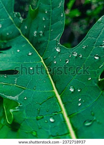 Search from thousands of royalty-Butiful Greeness Tree 4K stock images and video for your next project. Download royalty-free stock photos, vectors, HD footage and ...