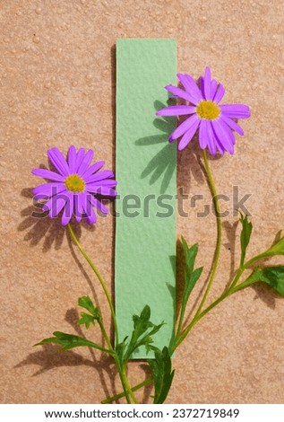 Mockup of a pretty message space with purple Brachyscome flowers against a background of orange terracotta tiles