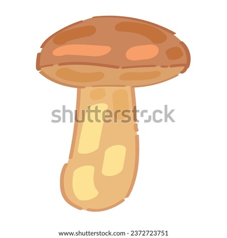 Forest mushroom on white background