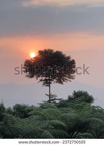 Amazing mountain landscape with colorful vivid sunset on the cloudy sky, natural outdoor travel background. Beauty world. Single tree with beautiful sunset