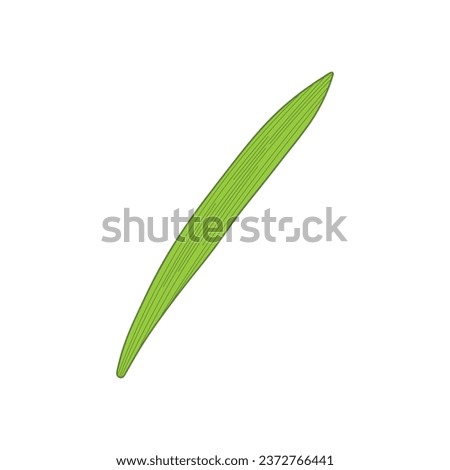 Kids drawing Cartoon Vector illustration grass Isolated on White Background