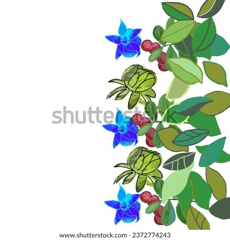 Wonderful leafs and berries border, botanical clipart