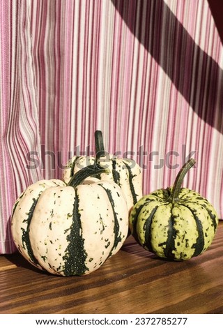 decorative pumpkins on the wooden floor