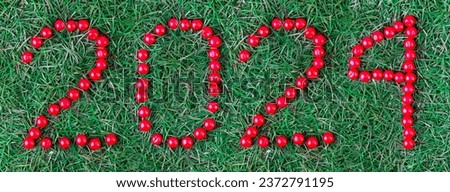 Inscription 2024 of red berries on the background of spruce branches. New Year's font. Christmas