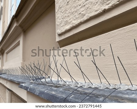 Blurred bird spikes, protection against birds and pollution in the city center, metal spikes, caution no entry Metal bird control, Cautionary signage, City aesthetics, Urban upkeep, Environmental 