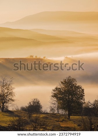 mountainous countryside landscape at dawn. grassy rural fields on the rolling hills in morning light. trees in fall colors. fog in the distant valley. bright sky with clouds above the ridge Royalty-Free Stock Photo #2372794919