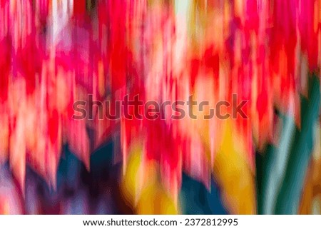 Motion background in autumns colours, japanese maple leafs