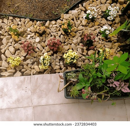 
house facade with flowers and pebbles