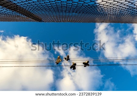 Wire mesh fence and old shoes hanging on electrical wire against a sky in Brazil. Shoe tossing