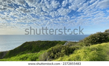 Eye-catching landscape photography in a an early spring morning in Newcastle where blue sky, water, clouds and green nature is visible.