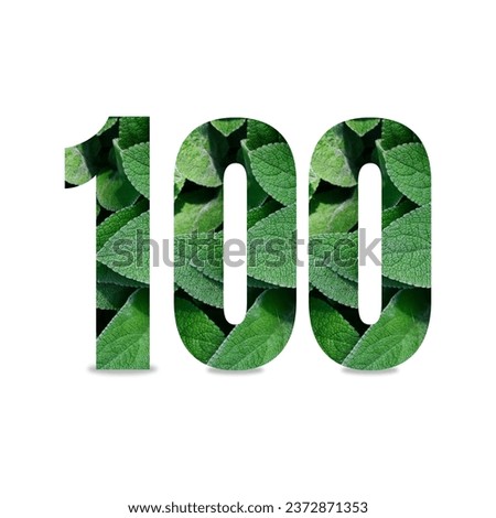Design number with leaf texture on white background