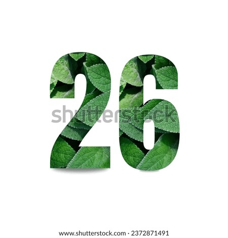 Design number with leaf texture on white background