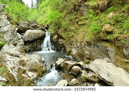A cascade of small waterfalls in the rocky bed of a small river flowing through the morning summer forest. Iogach river, Altai, Siberia, Russia.