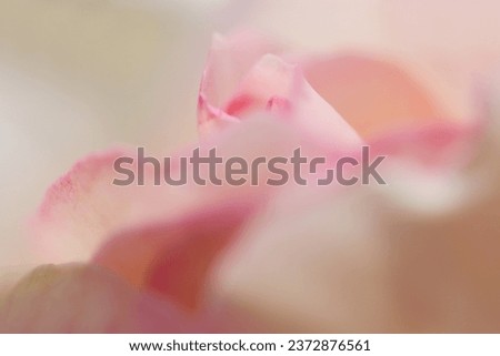 Pale light pink rose petals background (color and composite retouched image)