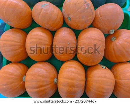Orange pumpkins with a large size in a green container sold at the supermarket.