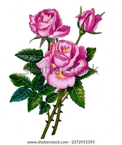 A hand drawn picture of a rose flower