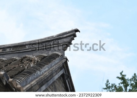 Partial photo of roof in traditional Chinese architectural style