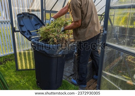 Man disposing of collected plants in trash, preparing greenhouse for winter season. Royalty-Free Stock Photo #2372930305