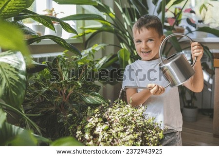 A child in home clothes waters beautiful, large indoor plants from a stylish metal watering can. Concept Care and watering of home flowers.