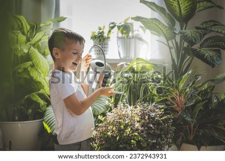 A child in home clothes waters beautiful, large indoor plants from a stylish metal watering can. Concept Care and watering of home flowers.