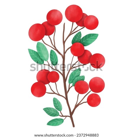 bouquet of red roses. christmas holly berries