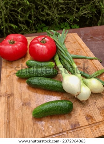 Vegetables on cutting board: tomatoes, cucumbers, onions