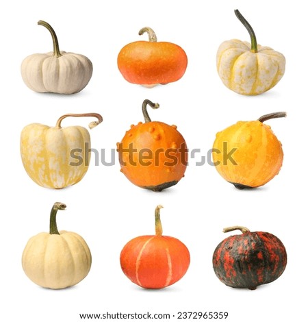 Set of different pumpkins isolated on white